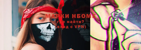 метадон Ельня