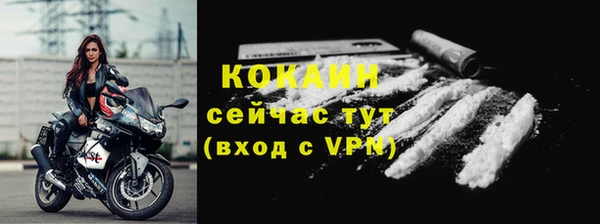 стаф Елизово