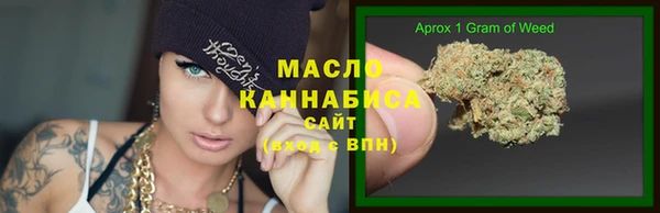 метадон Ельня
