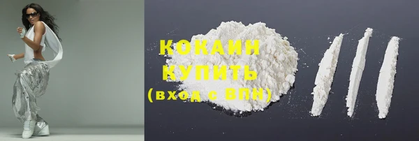 стаф Елизово