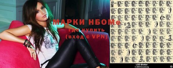 стаф Елизово