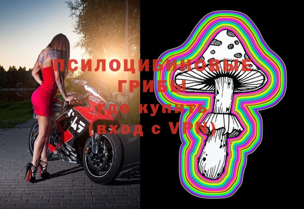 2c-b Заводоуковск